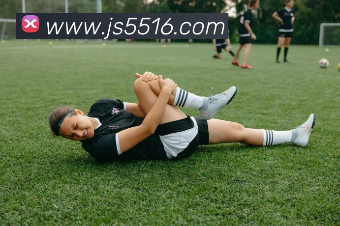 奖项证书